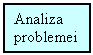 Text Box: Analiza 
problemei
