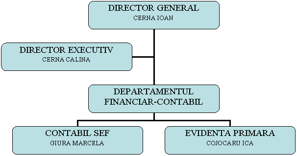 Organization Chart