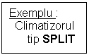 Text Box: Exemplu :
  Climatizorul             
      tip SPLIT
