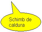 Oval Callout: Schimb de caldura