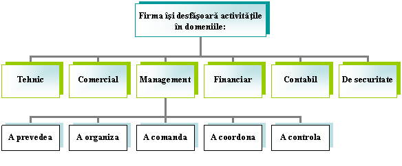 Organization Chart