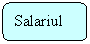 Rounded Rectangle: Salariul 