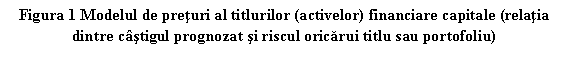 Text Box: Figura 1 Modelul de preturi al titlurilor (activelor) financiare capitale (relatia dintre castigul prognozat si riscul oricarui titlu sau portofoliu)