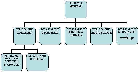 Organization Chart