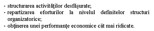 Text Box: - structurarea activitatilor desfasurate;
- repartizarea eforturilor la nivelul definitelor structuri organizatorice;
- obtinerea unei performante economice cat mai ridicate.
