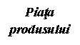 Text Box: Piata
produsului
