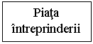 Text Box: Piata
intreprinderii
