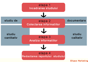 studii-piata-etape