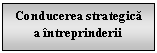 Text Box: Conducerea strategica
a intreprinderii
