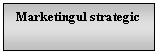 Text Box: Marketingul strategic