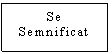 Text Box: Se
Semnificat

