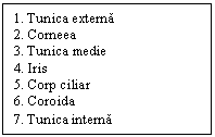 Text Box: 1. Tunica externa
2. Corneea
3. Tunica medie
4. Iris
5. Corp ciliar
6. Coroida 
7. Tunica interna
