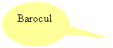 Oval Callout: Barocul