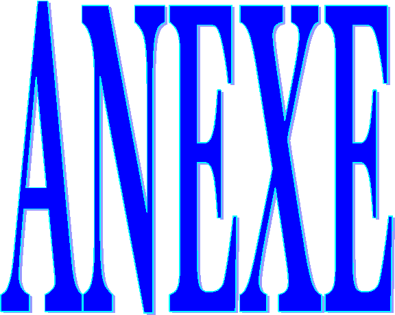 ANEXE