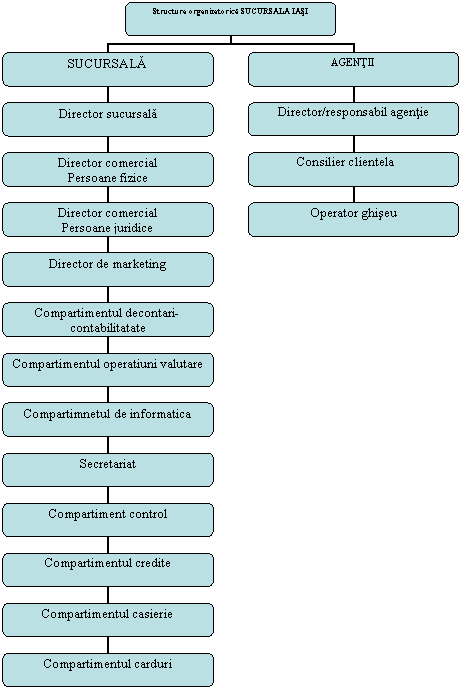 Organization Chart