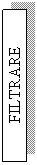 Text Box: FILTRARE