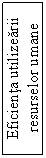 Text Box: Eficienta utilizearii resurselor umane