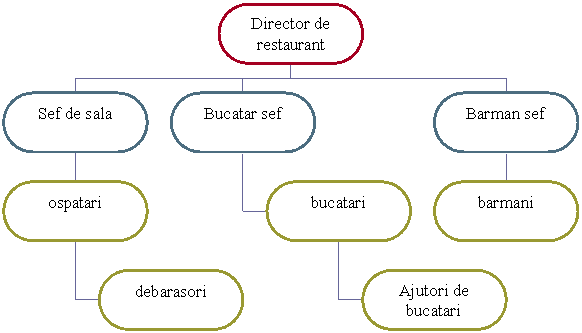 Organization Chart