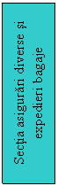 Text Box: Sectia asigurari diverse si expedieri bagaje