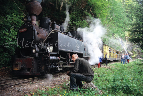 Mocanita - Valea raului Vaser - Maramures